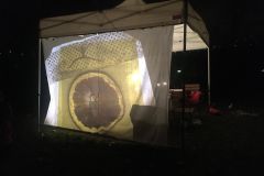 vanocni-sousedeni_23-12-2024_024 vanocni-sousedeni_23-12-2024_024