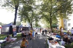 SpoluNaPetrinach_ZMJ2025_AB_017 SpoluNaPetrinach_ZMJ2025_AB_017