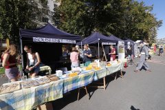 SpoluNaPetrinach_ZMJ2025_AB_037 SpoluNaPetrinach_ZMJ2025_AB_037