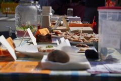 SpoluNaPetrinach_ZMJ2025_JJ_052 SpoluNaPetrinach_ZMJ2025_JJ_052