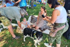 SpoluNaPetrinach_ZMJ2025n_038 SpoluNaPetrinach_ZMJ2025n_038