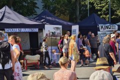 SpoluNaPetrinach_ZMJ2025n_069 SpoluNaPetrinach_ZMJ2025n_069