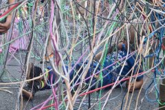 SpoluNaPetrinach_ZMJ2025n_126 SpoluNaPetrinach_ZMJ2025n_126