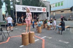 SpoluNaPetrinach_ZMJ2025n_133 SpoluNaPetrinach_ZMJ2025n_133